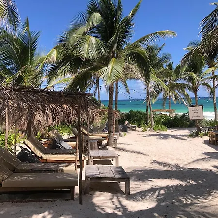 Luxury With Papaya Playa Project Club Membership Apartment *