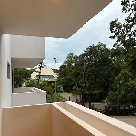 Apartment New In