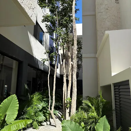 Apartment New In *
