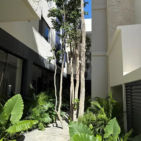 New In Tulum