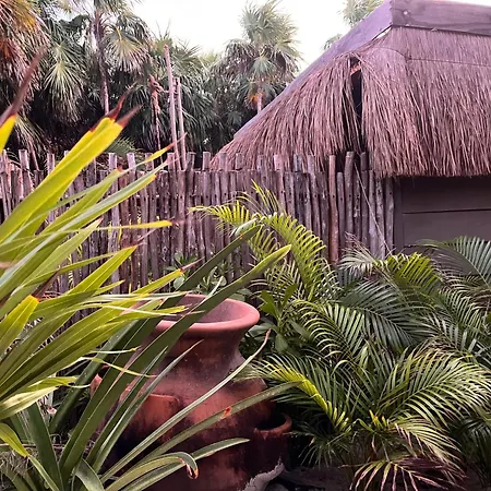 Amana , Front * Tulum