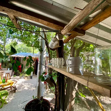 Casa Kuma *