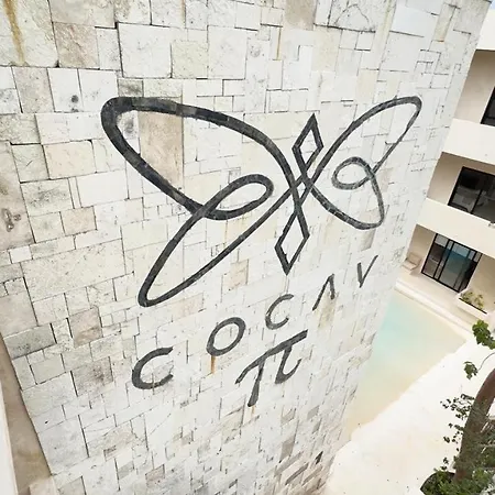Cocay Departamento Jt *
