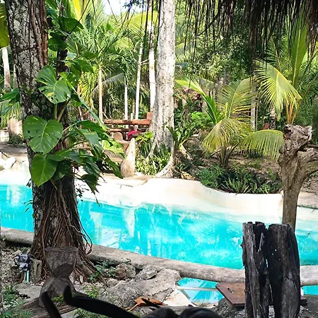 Campsite Space For Your Tent Tulum