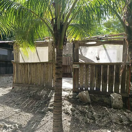 Space For Your Tent Campsite