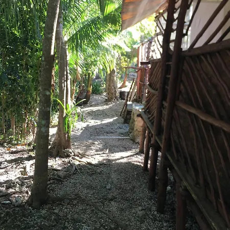 Space For Your Tent Tulum