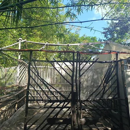 Campsite Space For Your Tent Tulum