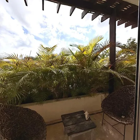 Xscapetulum 4*