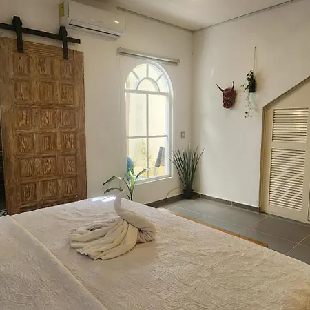 Charming Downtown Studio With Pool Apartment *