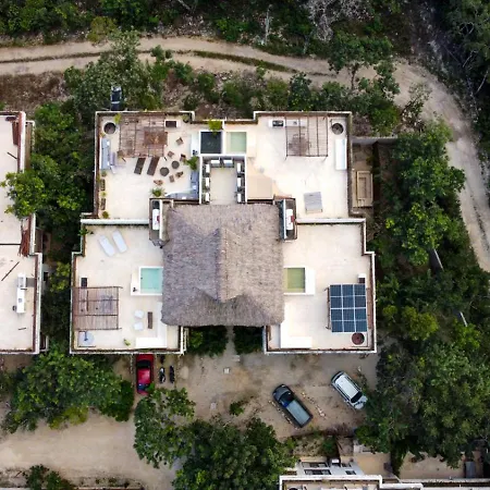 Penthouse In Selva Norte Tulums Verstecktes Juwel Im Dschungel Apartment Tulum