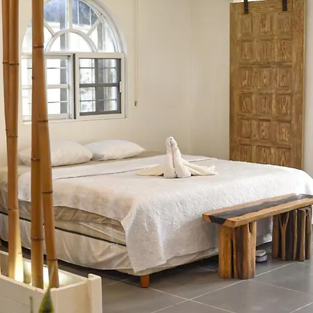 Charming Downtown Studio With Pool *