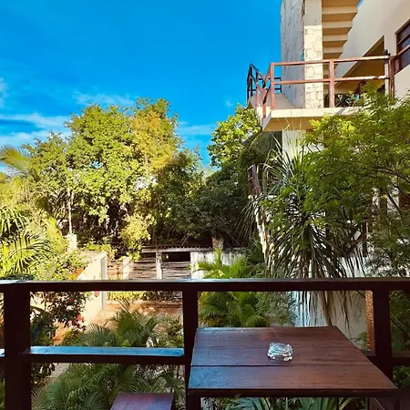 Hotel Starfit Boutique Beachclub, & Gym Included 4*