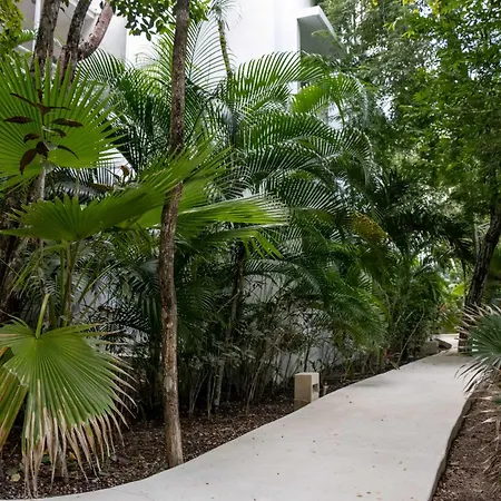 Modern With 2 Bdr Gym & Pool Apartment Tulum