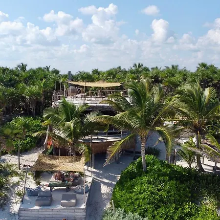 Amana , Front * Tulum