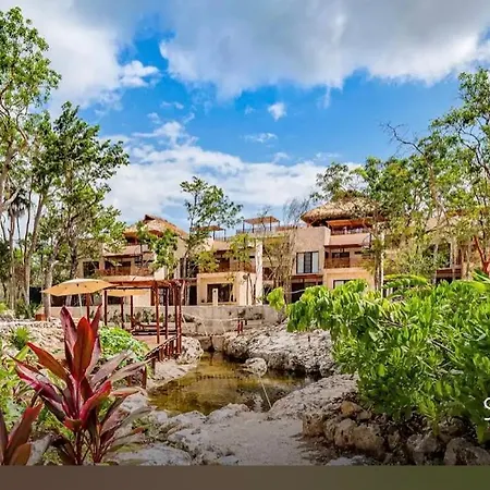 Hotel Jungle 4*