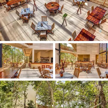 Jungle 4*