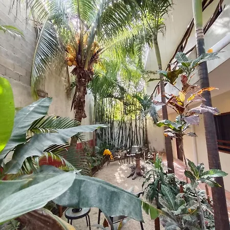 Casa Lupita 4*