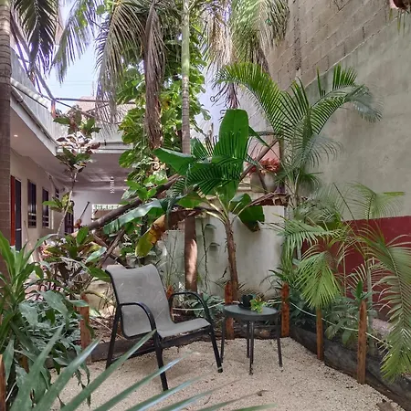 Casa Lupita 4*