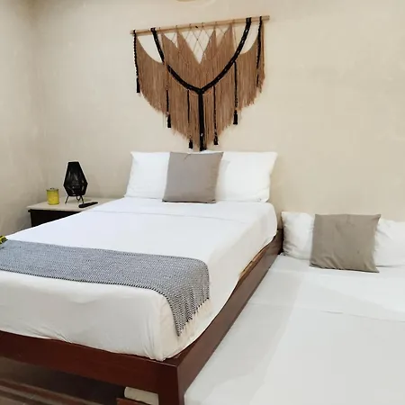 Casa Lupita 4*