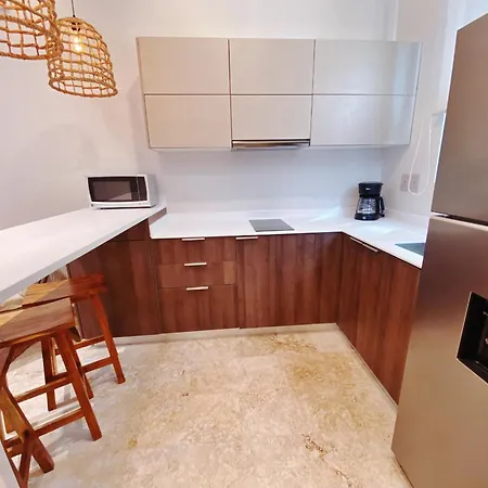 Apartment 1 Bedroom 1 Mile From Tulum