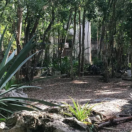Barefoot Jungle 4* Tulum
