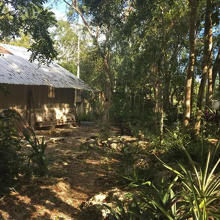 Barefoot Jungle Guest house 4*