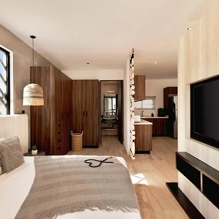 Entero Vivienda Rentada En Mexico Apartment