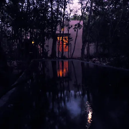 Barefoot Jungle