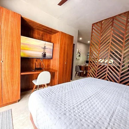 New Swim-up King Bed Wifi Apartment Tulum