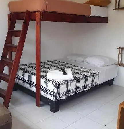 The - Food, Drinks And Transportation To The And Cenotes Hostel *