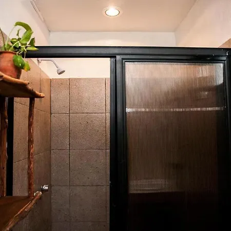 Hostel The - Food, Drinks And Transportation To The And Cenotes *