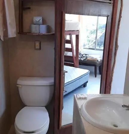 Hostel The - Food, Drinks And Transportation To The And Cenotes Tulum