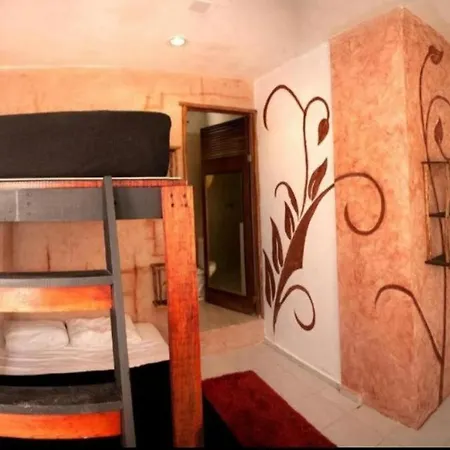 Hostel The - Food, Drinks And Transportation To The And Cenotes