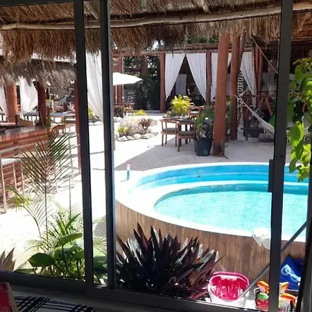 Hostel The - Food, Drinks And Transportation To The And Cenotes *