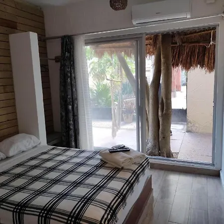 The - Food, Drinks And Transportation To The And Cenotes Hostel Tulum