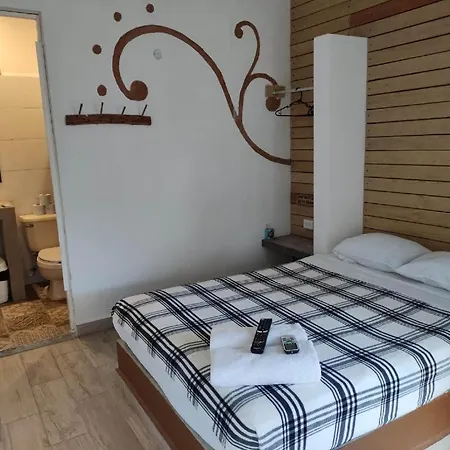The - Food, Drinks And Transportation To The And Cenotes Tulum