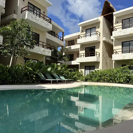Apartment Departamento Full Equipado De 1 Recamara En El Corazon De Ir31