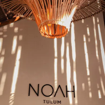 Noah 3*