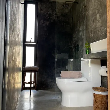 Meteora & Coffeehouse Hostel Tulum