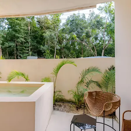 Penthouse Y Duplex 10 Personas *