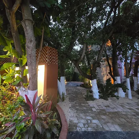 Casa Rosse