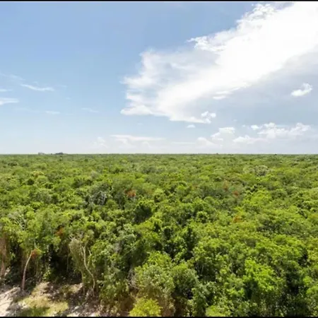 Leneva Loft Apartment Tulum