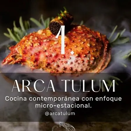 Cacao Estudio Particular