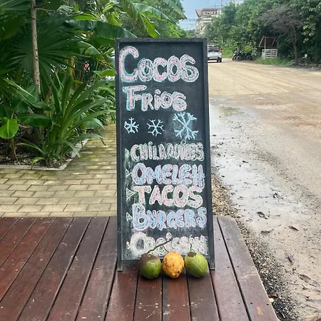 Cacao Estudio Particular Tulum