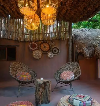 Jungle -steps To The And Restaurants!