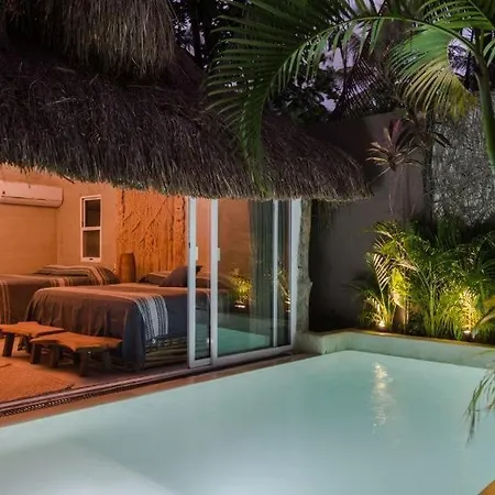 Jungle -steps To The And Restaurants!