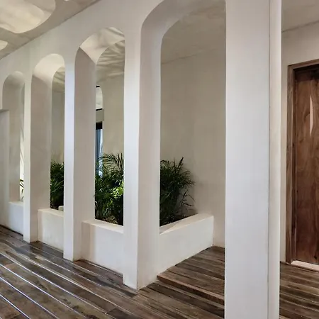 Romeotulum *