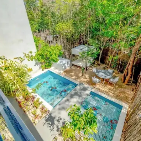 Jungle