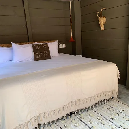 Phoenix Tulum
