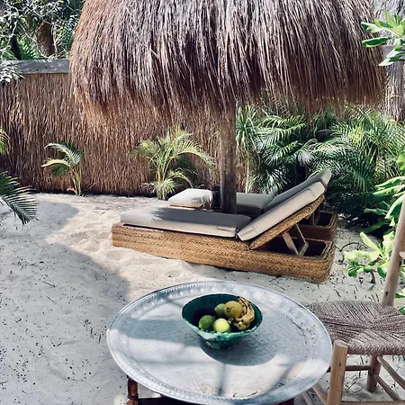 Phoenix Tulum